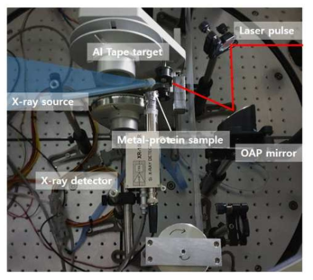 레이저 유도 X-선 바이오 물질 분광 분석 연구 실험 Set-up 사진