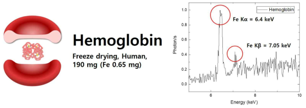동결 건조 헤모글로빈의 레이저 유도 X-선 형광 측정 실험 그래프