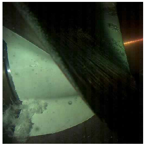경사류 프로펠러에 시공된 도막에 발생한 캐비테이션 붕괴 현상