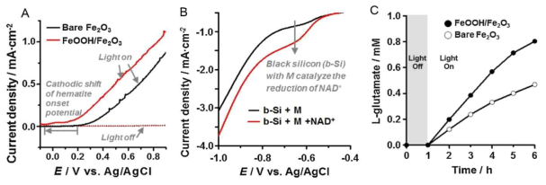 (A) a-Fe2O3 광양전극과 (B) black silicon 광음전극의 광전기 화학적 특성 관찰 (C) 2-electrode configuratiion을 통해 연결된 FeOOH/Fe2O3및 b-Si으로 구성된 광전기화학 셀에 의한 생체촉매 반응. L-glutamate 생성을 통해 확인하였다
