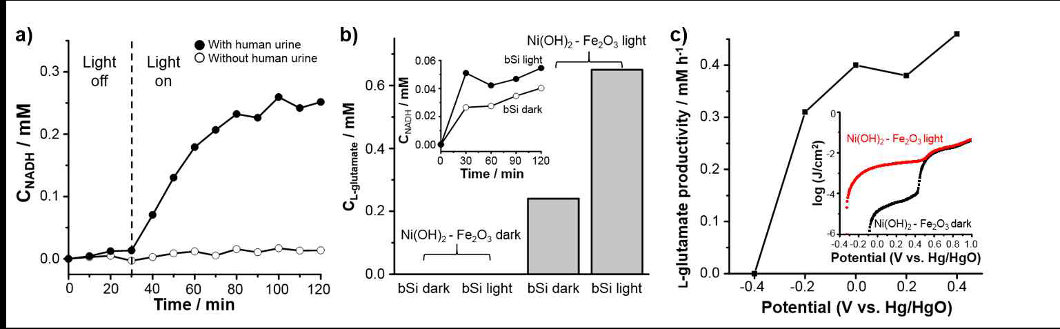 인간의 뇨를 연료로 한 NADH 재생 및 산화환원 효소 반응 효율 비교. (A) 블랙 실리콘에 빛을 조사해주는 조건에서, Ni(OH)2-modified a-Fe2O3의 빛 조사 유무에 따른 NADH 재생 효율 비교. (B) Ni(OH)2-modified a-Fe2O3 및 블랙 실리콘의 빛 조사 유 무에 따른 L-glutamate 전환율 비교. (C) 외부 인가 전압의 변화에 따른 L-glutamate의 반응 속도 비교