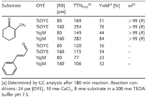 Photoenzymatic reduction of 2-methylcyclohexenone and cinbynamaldehyde by different OYEs (TsOYE and YqjM)