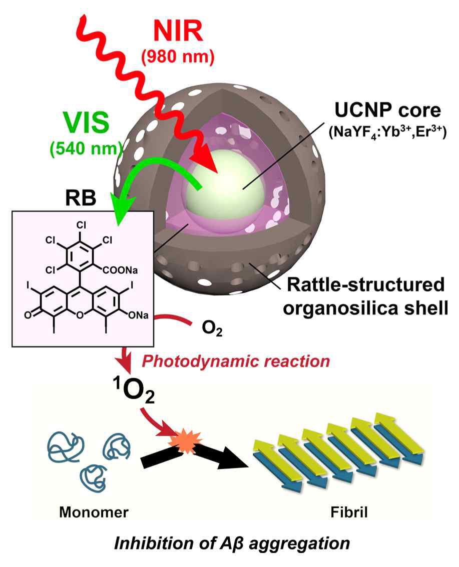 근적외선에 반응하는 업컨버젼 나노입자와 유기분자를 결합시킨 새로운 나노 소재의 제작 및 이를 이용한 아밀로이드 응집 억제