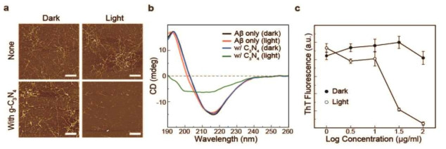 빛 조사와 g-C3N4 투입 여부에 따른 아밀로이드 펩타이드의 자기조립 현상 분석. (A) AFM 이미지, (B) 단백질 2차 구조분석 스펙트럼, (C) 피브릴에 특이적으로 반응하는 형광 염료 ThT를 투입하여 g-C3N4의 농도에 따른 피브릴 형성도 분석