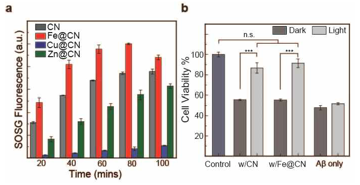 (A) 전이금속을 도핑한 g-C3N4의 활성산소종 생성량 비교, (B) 각 환경에서 처리된 아밀로이드 펩타이드의 PC12 세포 독성 실험
