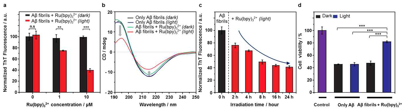 광여기된 Ru(bpy)3 2+ 에 의한 아밀로이드 베타 응집체 분해 효과. 아밀로이드 응집체의 (A) ThT fluorescence, (B) CD spectroscopy, (C) AFM images, (D) Cytotoxicity of cells