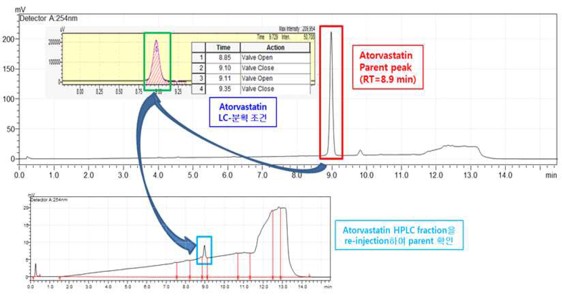 Atorvastatin의 HPLC-분획 조건 확립