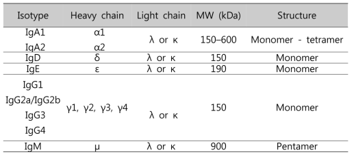 항체의 isotype과 특징(출처 : http://www.abcam.com/)