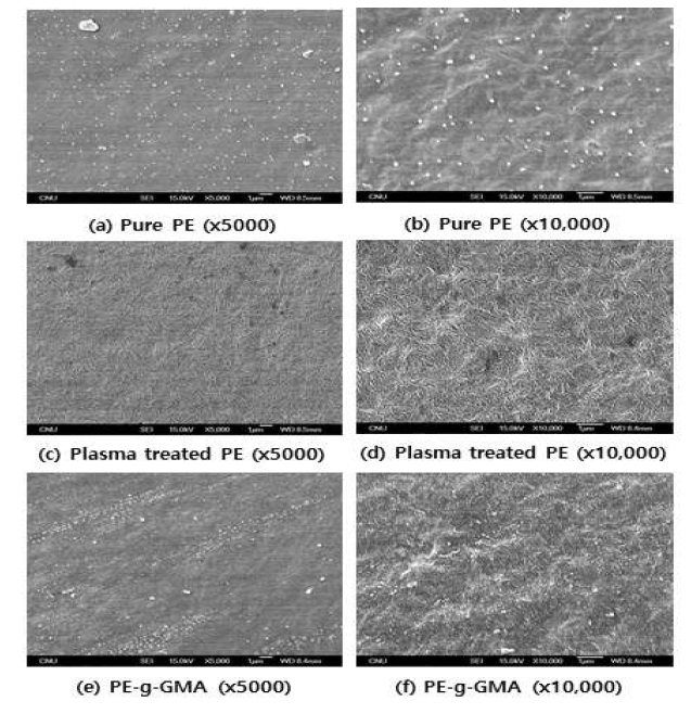SEM analysis of Polyethylene surface