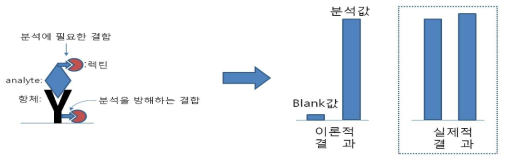 ELISA에서 항체-렉틴간의 교차반응으로 인해 나타나는 분석의 한계