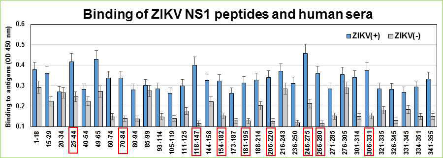 33종의 항원 펩타이드와 지카바이러스 양성 혈청과의 반응성