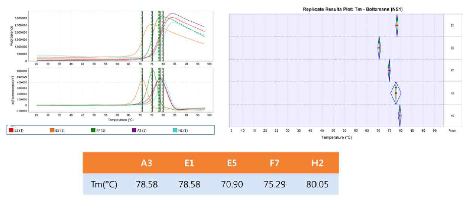 Thermal stability analsysis of 5 Fabs by protein thermal shift (PTS) assay. Tm, melting temperature (℃)