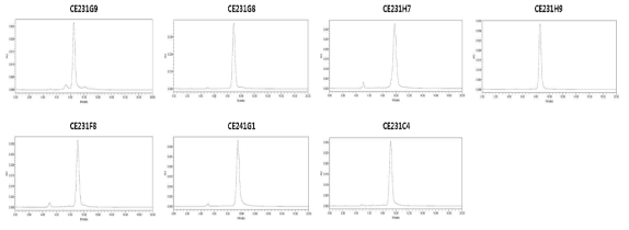 SEC analysis of anti-CHIKV E2 Fab clones