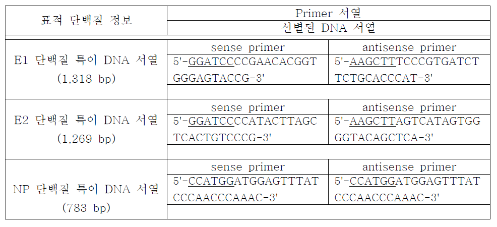 Chikungunya 전체 DNA 서열 중, E1, E2, NP 지역을 특이적으로 선별하는 primer 서열