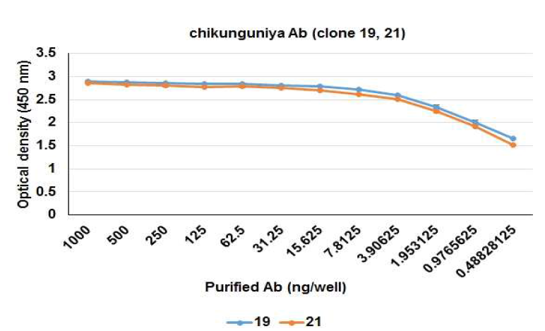 치쿤구니야 E2에 대한 단클론 항체 농도에 따른 민감도 확인