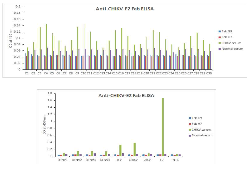 CHIKV 펩타이드 및 각종 바이러스에 대한 Fab 항체의 반응성