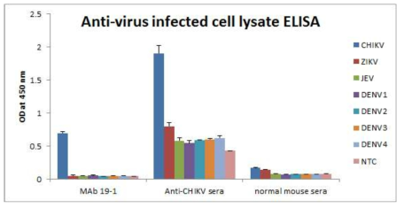 CHIKV 항원에 대한 단클론 항체 19-1의 반응성