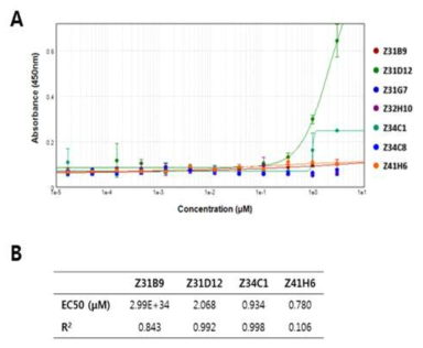 Affinity determination by soluble ELISA. (A) ELISA plots of purified Fab clones serially-diluted, and (B) their EC50 (mM) values calculated from the ELISA plots