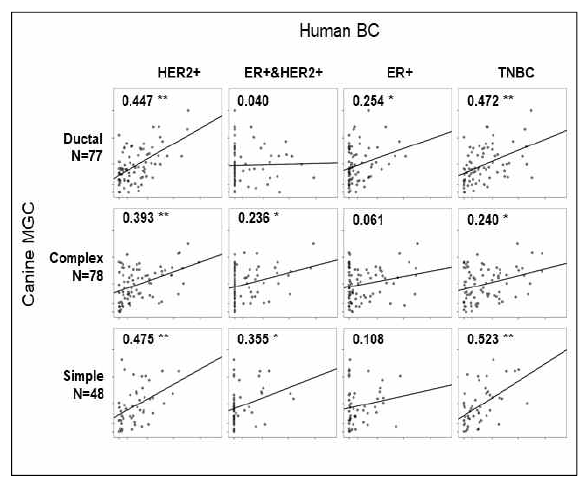 사람 유방암의 분자생물학적 서브타입과 개 유선암 조직학적 서브타입 간의 상관관계