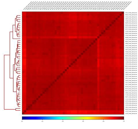 101개 샘플에서의 MBD-seq data를 normalization을 한 후 샘플 별 correlation 분석을 통해 실험의 재현성 확인