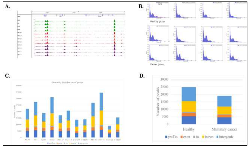 ATAC-seq 데이터 기본 특징