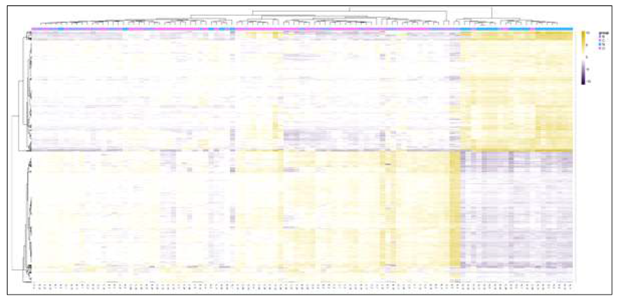 100개 혈액시료의 heatmap clustering