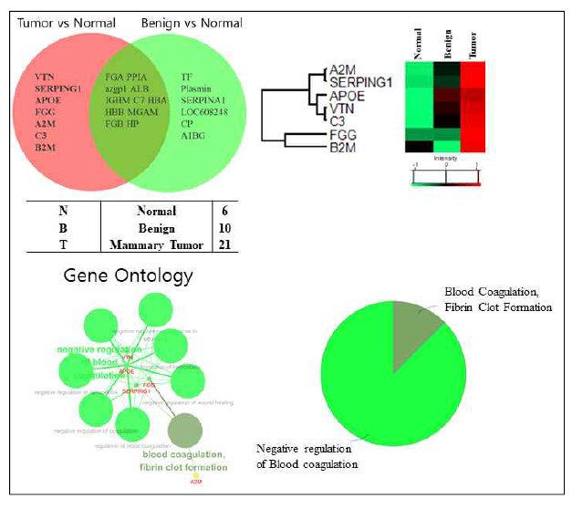 Tumor vs Normal, Benign vs Normal 비교분석