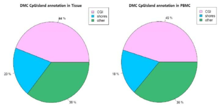 CpG annoation에 대한 pie plot