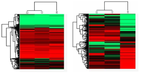 heatmap clustering in PBMC