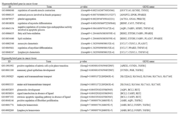 조직과 혈액에서 얻어진 DMG에 대한 Gene ontology 분석