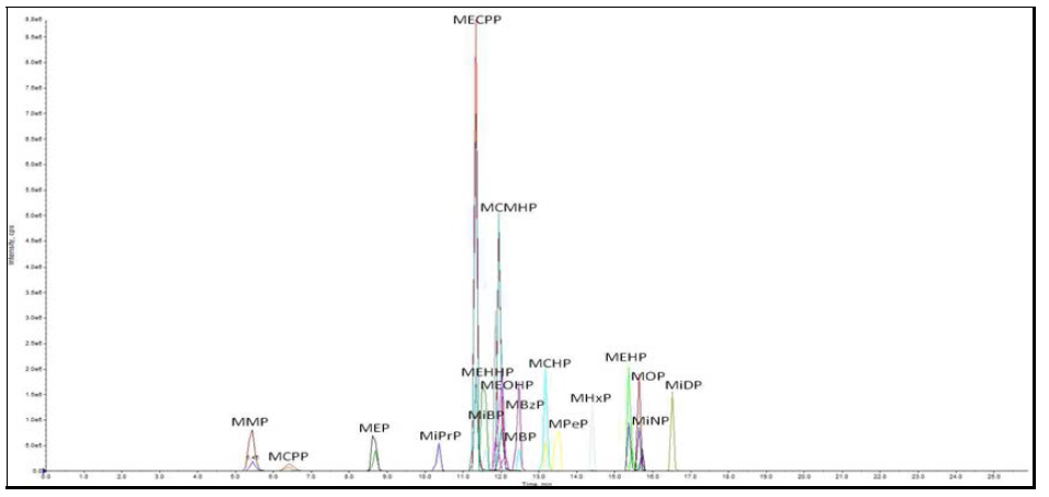 프탈레이트 대사체의 총이온크로마토그램(Total ion chromatogram, TIC)