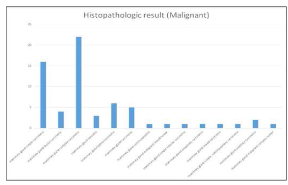 악성 유선종양 Subtype (Histopathologic result)