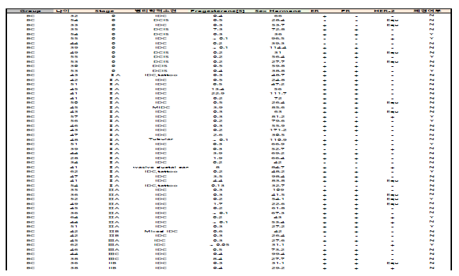 2차년도 모집 유방암환자 60명의 임상정보 수집 예시