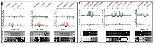 Normal과 Cancer에 특정 유전자 영역의 과메틸화와 저메틸화(Rauch TA et al., 2007, PNAS)