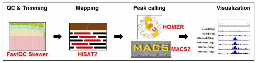 ChIP-seq 분석 파이프라인