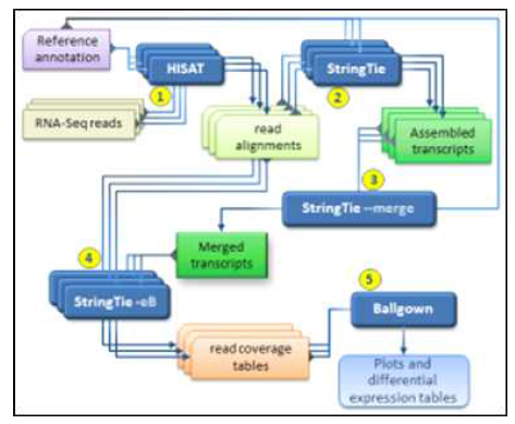 RNA-seq 분석 파이프라인 2