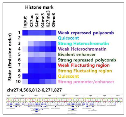 Histone mark 특징을 이용한 반려견 11개 조직 통합 Chromatin states reference 구축