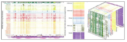 다중오믹스 분석을 통한 후성유전체학 지도 구축(A Kundaje et al., 2015, Nature)