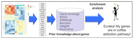 변이 유전자의 기능적 Gene Ontology(GO) 분석의 모식도