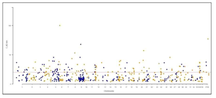 Chromosome별 유전자 돌연변이의 AD ratio