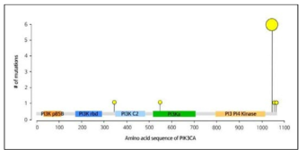 PIK3CA 도메인