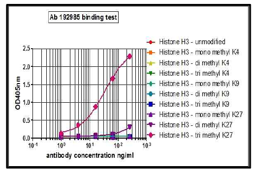 Abcam사의 H3K27me3항체 반응성 테스트