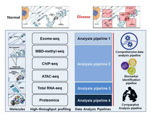분석 파이프라인 개발 및 비교의학적 분석기법 구축