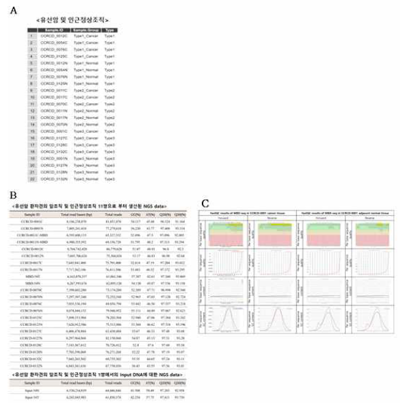 유선암 환자견으로부터 얻은 암조직 및 인근정상조직 11쌍에 대한 MBD-seq결과. (MBD-enrich를 하지 않은 Input DNA (암 1건, 인근정상 1건)에 대한 시퀀싱을 포함하여 총 24개의 NGS 데이터 생산완료. (A) 유선암 환자견의 암 유형 별 MBD-seq이 수행된 개수. (B) NGS data 생산량 (>6Gbp) 과 Q20, Q30 score에 대한 report. (C) 생산된 시퀀싱 데이터에 대한 FastQC 결과