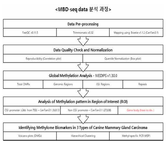 생물정보학을 이용한 MBD-seq data의 분석 및 검증과정