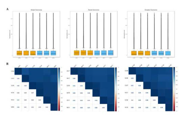 (A) 각 sample 별 counts의 분포를 box plot을 통해 확인 (노란색 : 정상군, 파란색 : 암 / 왼쪽부터 simple carcinoma, ductal carcinoma, complex carcinoma). (B) 전체 구간에서의 counts 값은 샘플 간 거의 유사한 것을 correlation 분석을 통해 확인