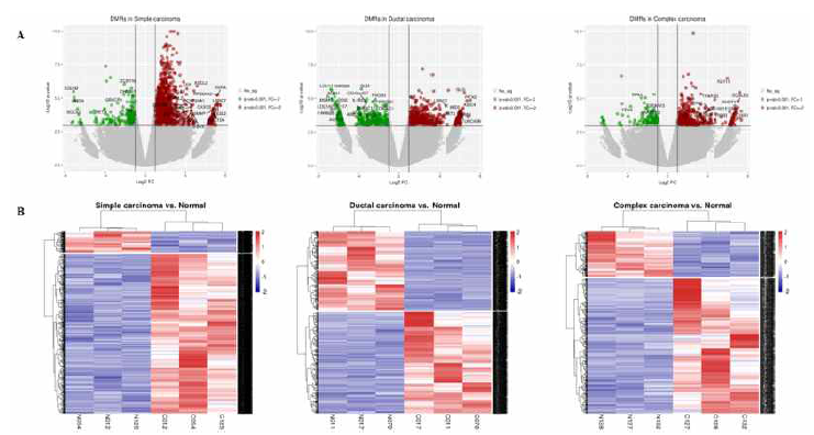 세 가지 암 종에서 통계분석을 통해 선별된 Differential methylated region을 나타내는 volcano plot (A) 과 각 샘플 별로 DMR에 대한 값을 이용해 clustering 하고 heatmap을 통해 나타낸 그림 (B)