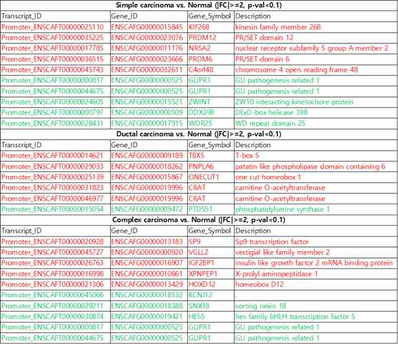 각 암 종에서 프로모터 부위에 존재하는 DMR과 연관된 상위 대표 유전자 리스트 (red : hypermethylated promoter gene, green : hypomethylated promoter gene)