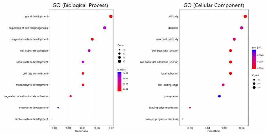 암 조직에서 메틸레이션의 변화가 있었던 유전자 군들의 gene ontology (GO) 분석 결과