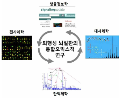 퇴행성 뇌질환의 통합오믹스적 연구의 모식도